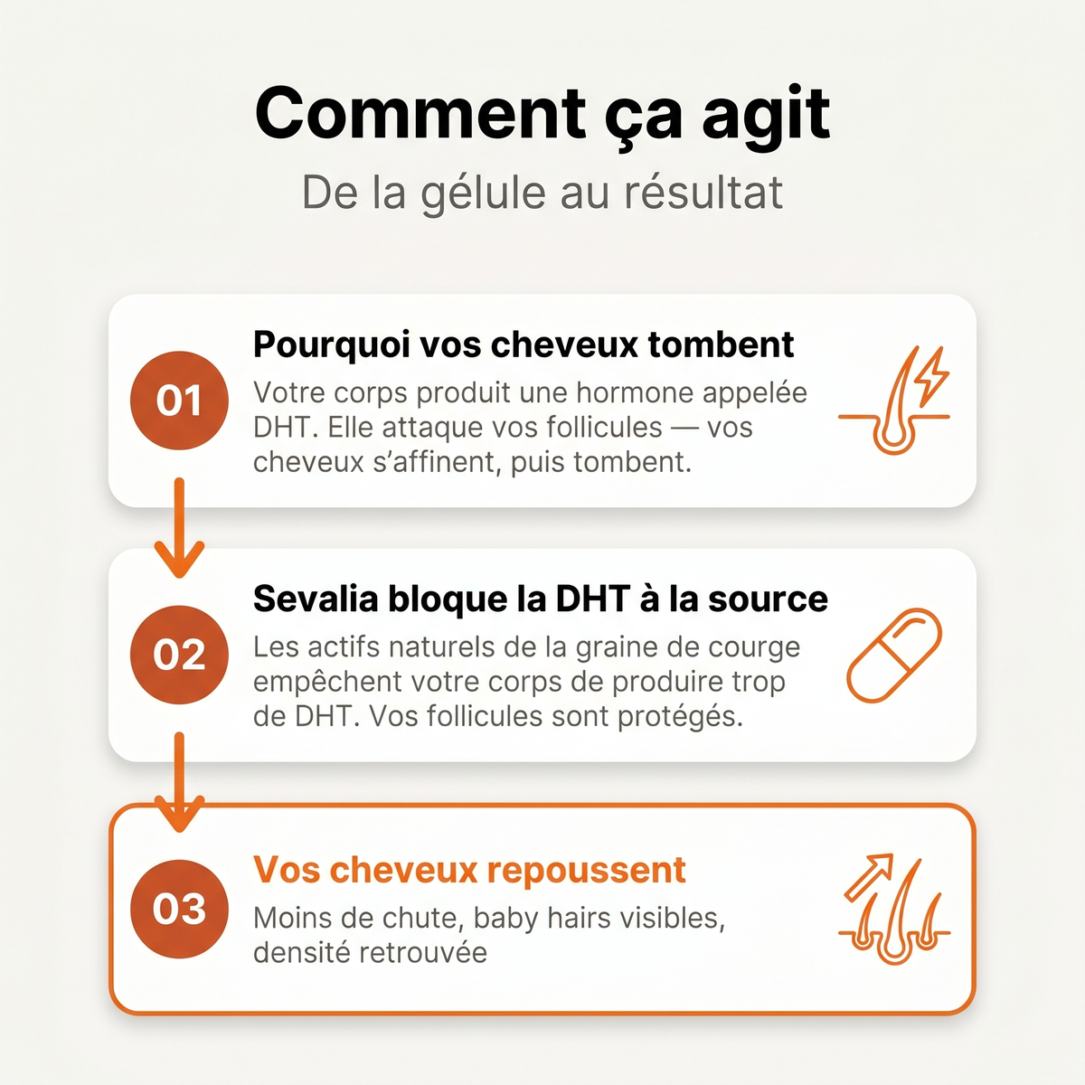 Pépins de Courge Softgels — Anti-DHT Naturel